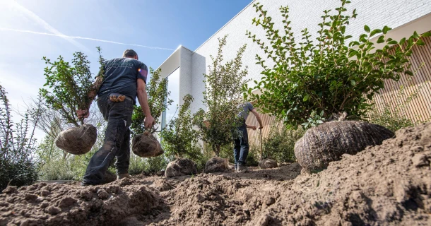 SOIL-ACTIV, bodemverbeteraar voor geslaagde projecten en minder arbeid Thumb