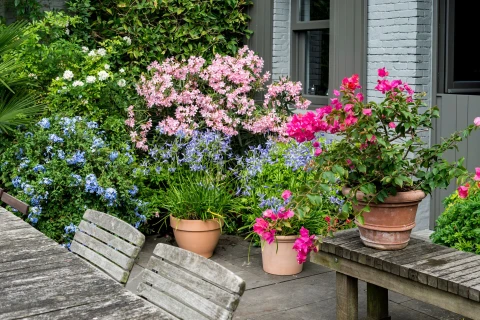 Een balkon vol natuur Thumb