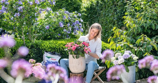 Hortensia’s planten Thumb