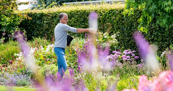 Kalk strooien voor een mooie siertuin Thumb