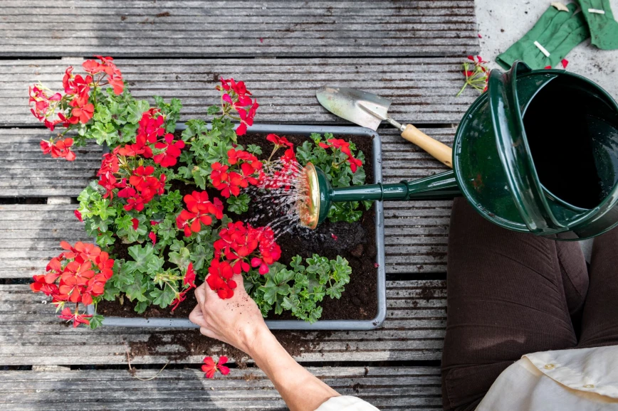 10 tips om je terrasplanten slim en zuinig water te geven Thumb