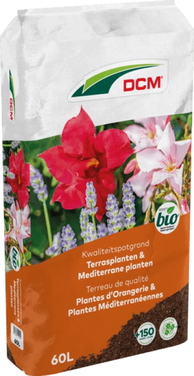 DCM Potgrond Terrasplanten & Mediterrane planten thumbnail