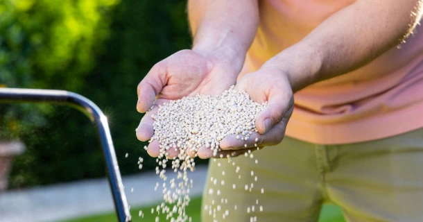 Kalk, de geheime bondgenoot van jouw tuin Thumb