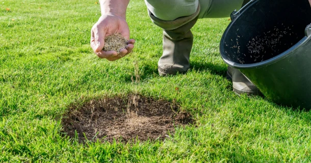 Herstel de kale plekken in je gazon snel en langdurig Thumb