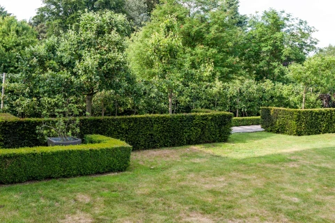 Zo help je je tuin de droogte door Thumb