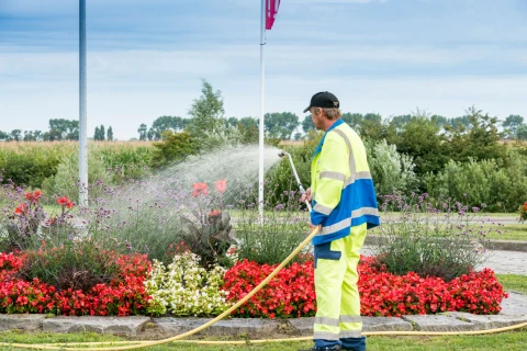 DCM ProLico® Flower de ideale vloeibare meststof voor stadsbebloeming Thumb