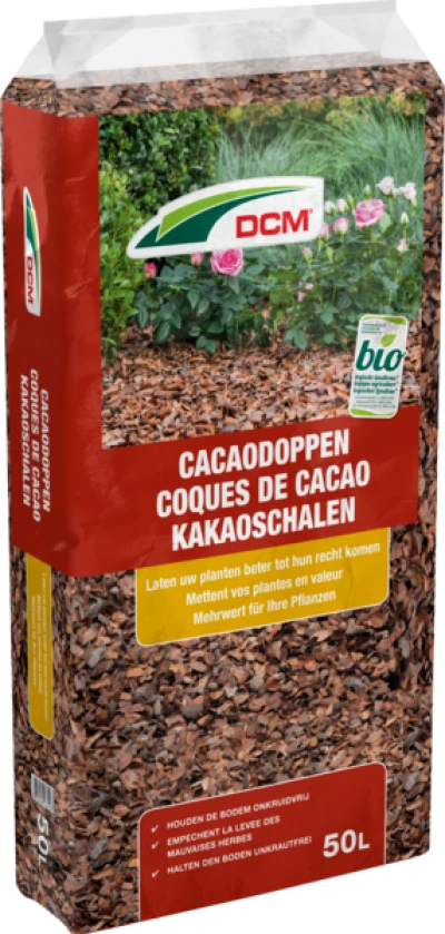 DCM Cacaodoppen thumbnail