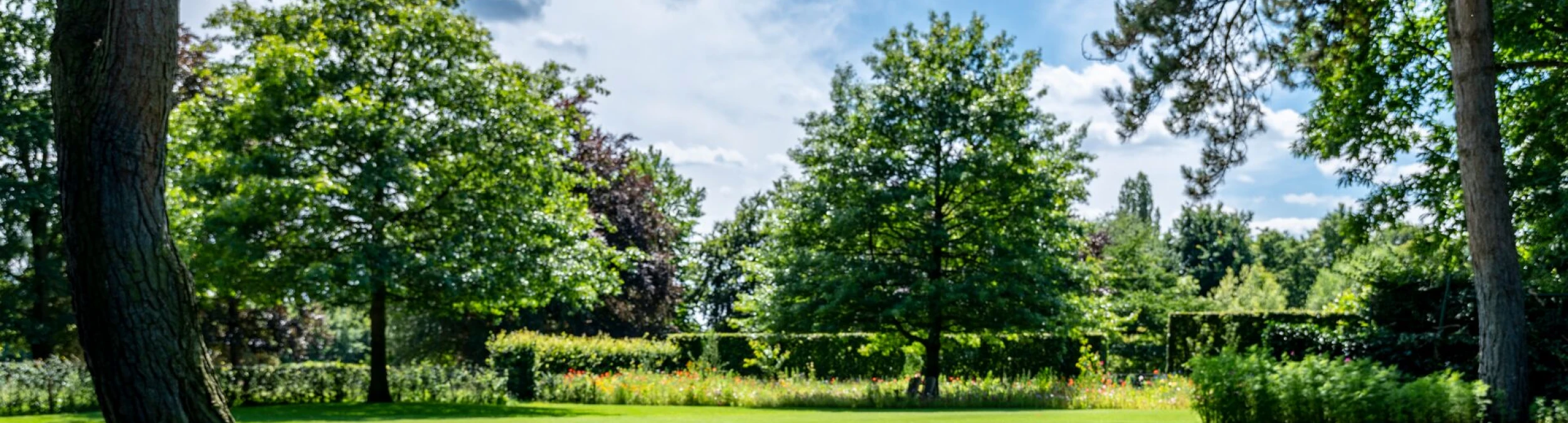 Header image alt
