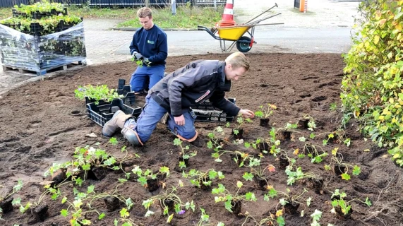 Satter Hoveniersbedrijf gebruikt DCM bodemverbeteraars voor goed bodemleven en weerbare planten Thumb