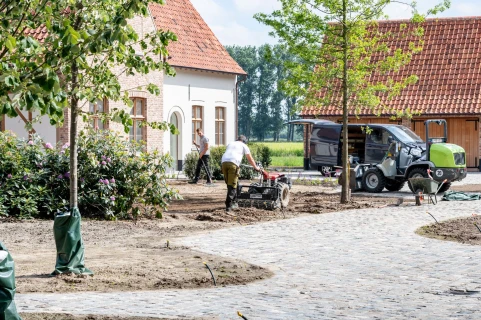 3 tips voor de aanplant van bomen Thumb