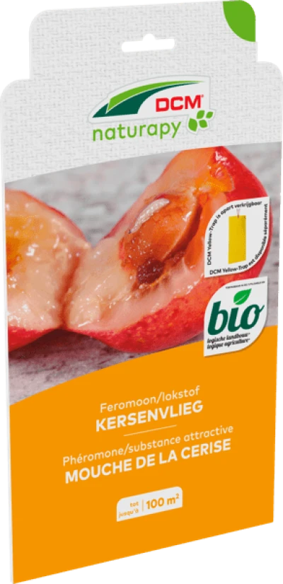 Feromoon kersenvlieg thumbnail