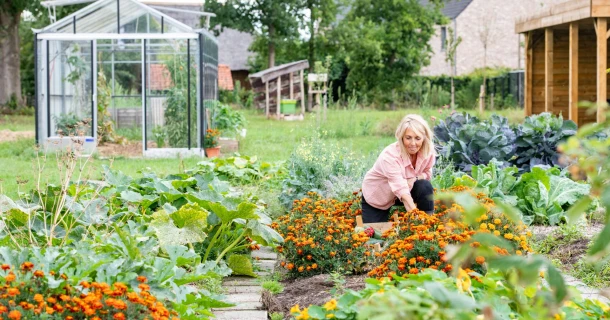 De beste bodemverbeteraar voor je moestuin, met levende organismen Thumb