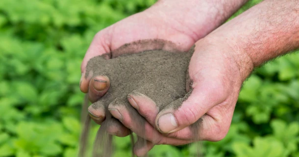 Welke grond heb ik in mijn tuin? 3 verschillende grondsoorten Thumb