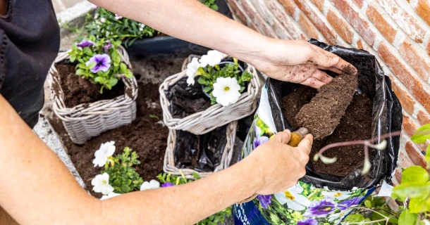 Potgrond met waterkristallen: bescherm je planten tegen uitdroging Thumb