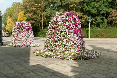 DCM Pyramidemengels Het potgrondmengsel speciaal voor stadsbebloeming Thumb