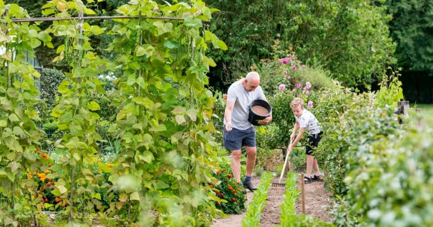De moestuin bemesten: zo voed je een rijke oogst Thumb