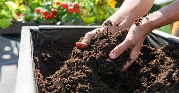 Plannen voor een moestuinbak? Zo begin je eraan. Thumb