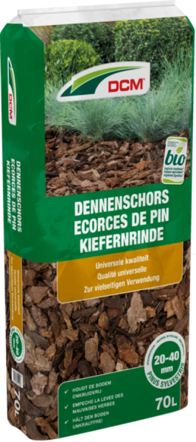 DCM Dennenschors thumbnail