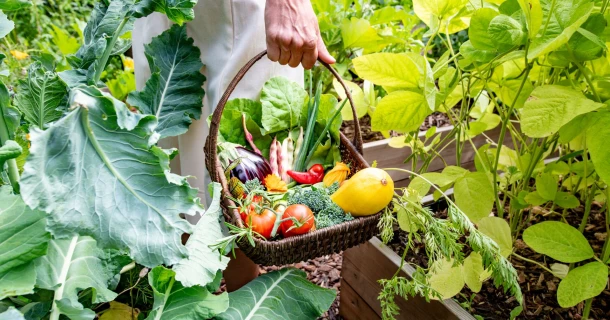 VEGAN: 100% plantaardige en natuurlijke verzorging voor jouw planten Thumb