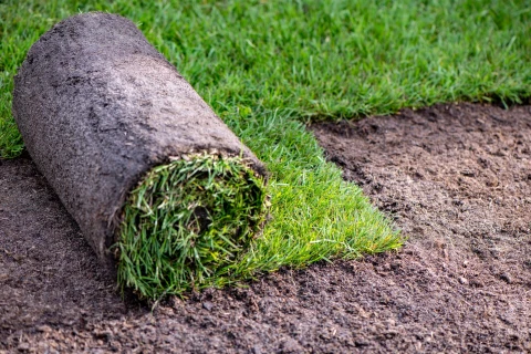 Gramefo Graszoden is overtuigd van organisch-minerale meststof DCM MIX 6 Thumb