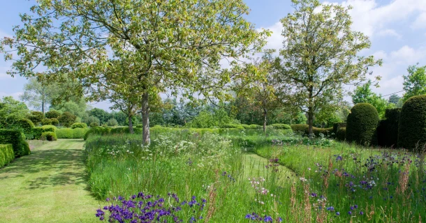 Leg een gazon aan met een stuk bloemrijk grasland Thumb