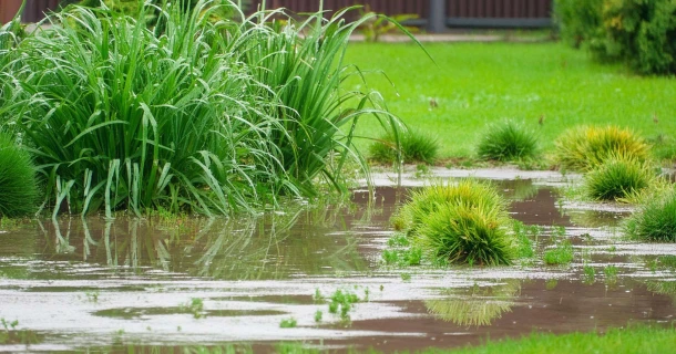 Help, mijn tuin verzuipt! Thumb